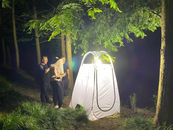 Портативная палатка-ловушка дл – обзор и цена Outdoor Lighting Collections